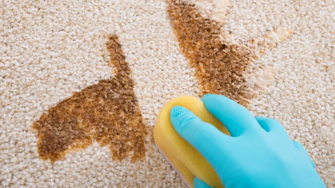 Carpet Cleaning Stain Remover