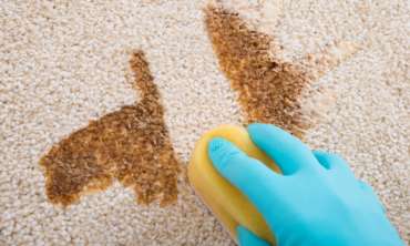 Carpet Cleaning Stain Remover