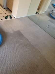 carpet cleaning Ladera ranch