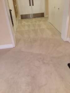 carpet cleaning buena park