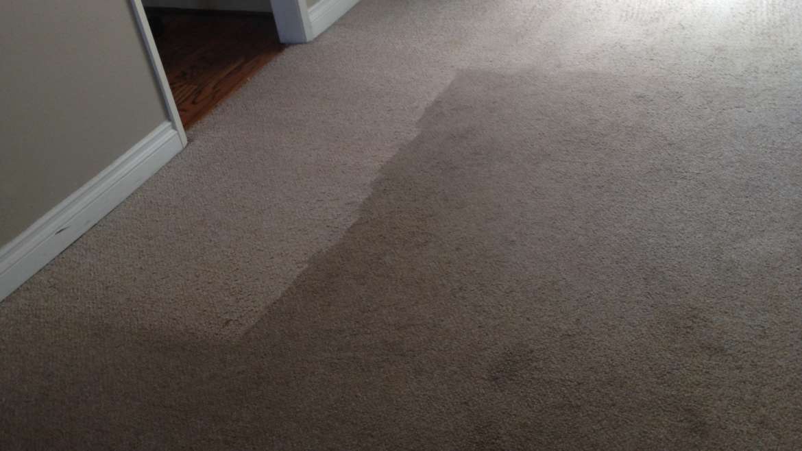 Carpet Cleaning Mission Viejo