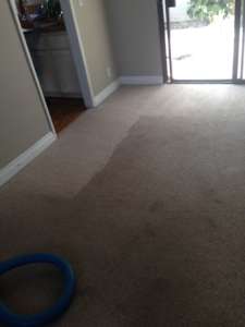 carpet cleaning dana point