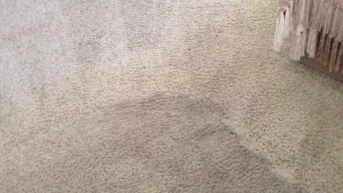 Carpet Cleaning North Irvine Services