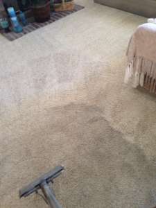 carpet cleaning north irvine