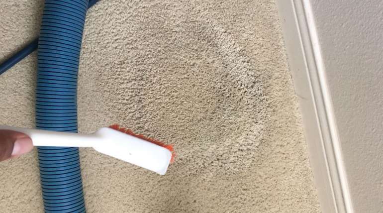 Pet Stain Carpet Cleaner Solvent.