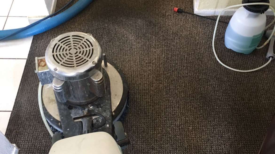 How To Clean Carpet?