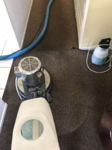 how to clean carpet