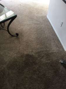 carpet cleaning east irvine