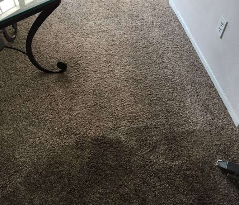 Carpet Cleaning East Irvine Services.