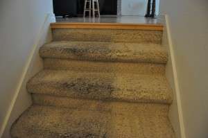 carpet cleaning rancho santa margarita